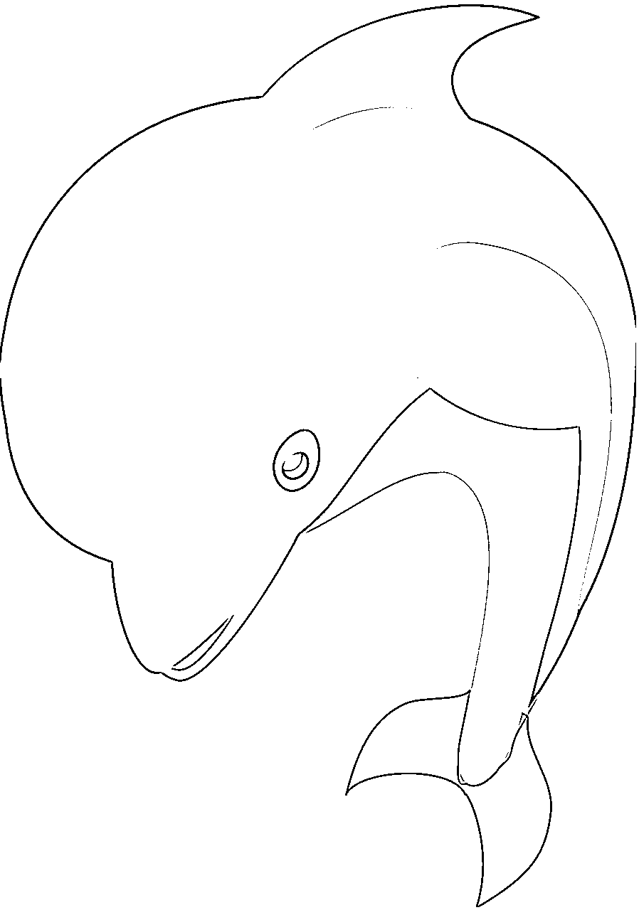 Wild Wonders: An Animal Coloring Journey