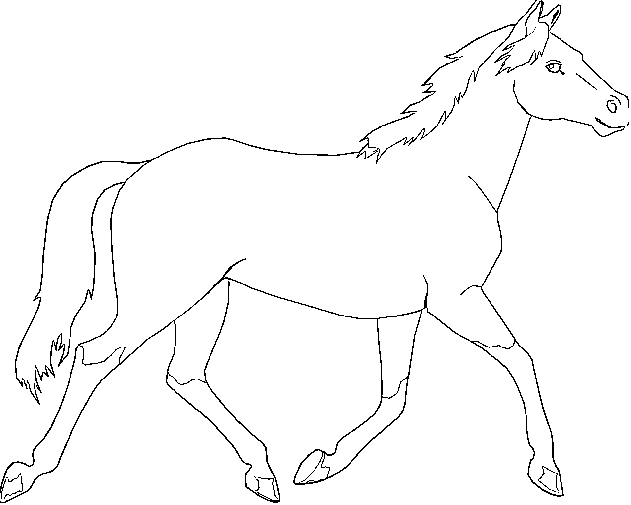 Wild Wonders: An Animal Coloring Journey